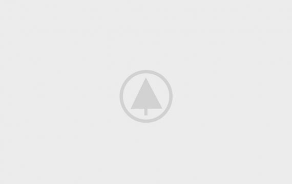 wood-portfolio-placeholder