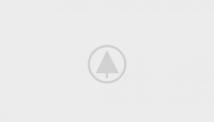 wood-portfolio-placeholder