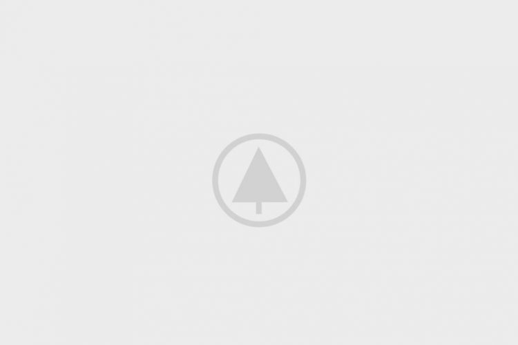 wood-portfolio-placeholder