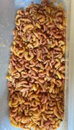 25 Mixed sized butterworms - Image 2