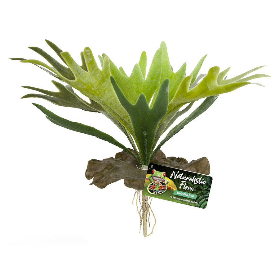 Zoo Med Naturalistic Flora Staghorn Fern, BU-65