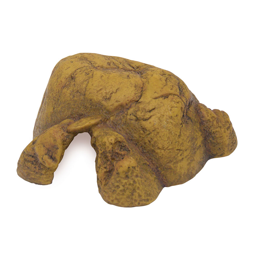 Exo Terra Reptile Hiding Cave Medium,