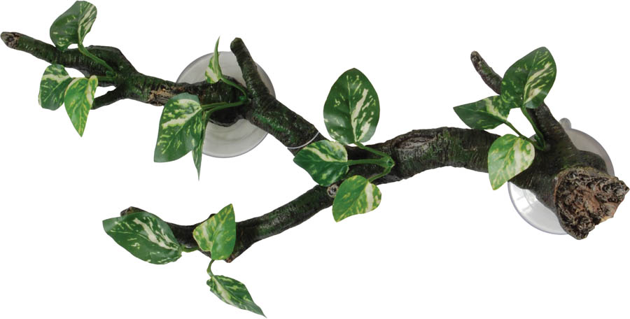 Repstyle Branch with Flora Sucker Mount 35cm