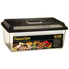 Exo Terra Flat Faunarium Medium, 