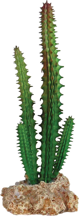 Repstyle Cactus with Rock Base 5.5 x 5 x 14cm