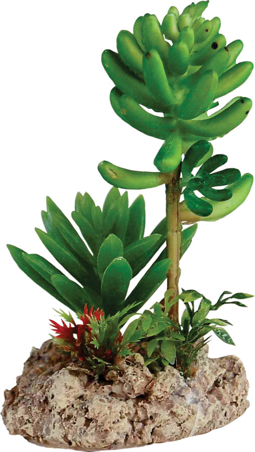 Repstyle Desert Plant with Rock Base 7.5x6x12cm 