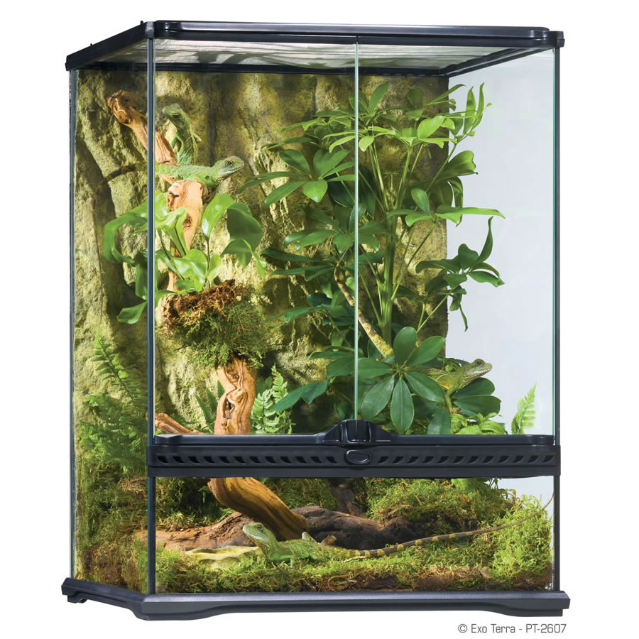 Exo Terra Terrarium Sml/Tall 45x45x60cm,  (H)