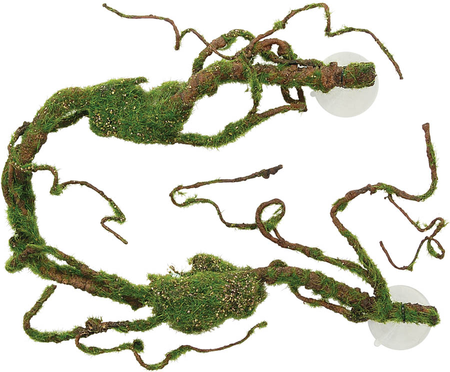 Repstyle Vine Sucker Mounted 78cm approx 