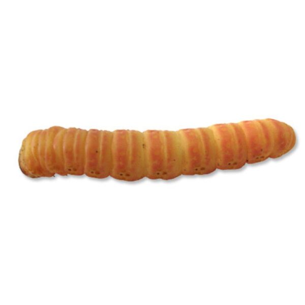 25 Mixed sized butterworms - Image 1