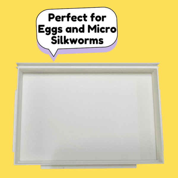 Solid interchangeable base for the Silkworm Keeper Pro - Image 1