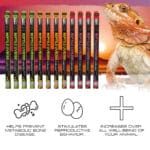 Exo Terra Reptile UVB100 T5 VHO - 8W 12" - Image 2