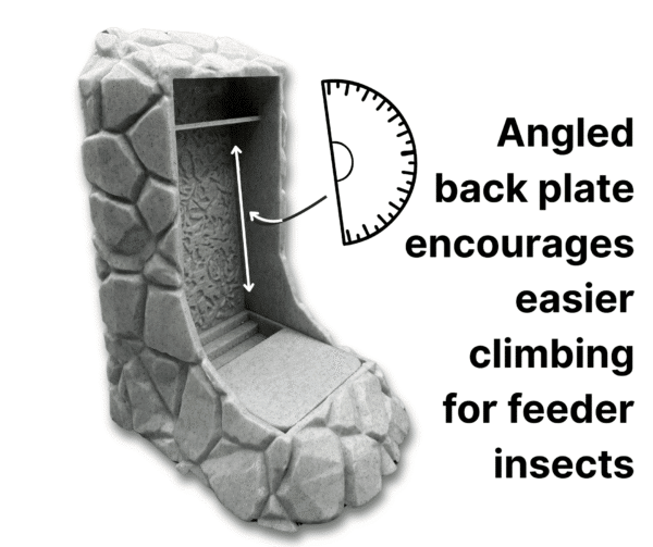 Reptile Insect Feeder Pro - Image 3