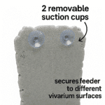 Reptile Insect Feeder Pro - Image 5