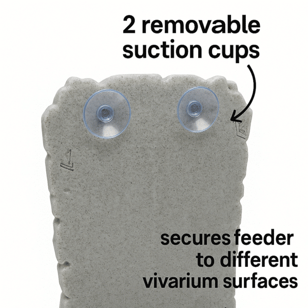 Reptile Insect Feeder Pro - Image 5