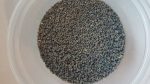 Silkworm eggs Bombyx Mori Livefood eggs - Direct from breeder to your door